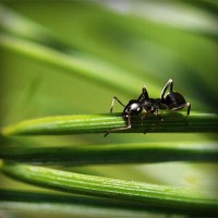 /album/nilay-ak/photolia-a05-jpg/
