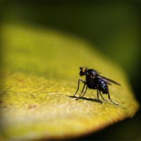 /album/nilay-ak/photolia-a07-jpg/